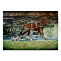 Autumn Amish Buggy Horse Cards