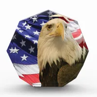 American Bald Eagle and Flag Award