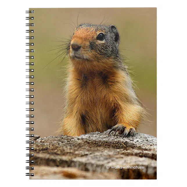 Funny Cute Saucy Columbian Ground Squirrel Notebook