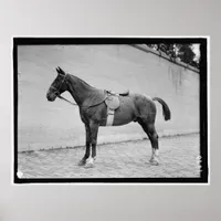 Horse Show 1912 Poster