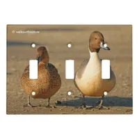 Funny American / Northern Pintail Ducks Gothic Light Switch Cover