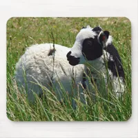 Jacob Ram Lamb Mouse Pad
