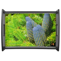 Big Blue Korean Fir Cones Serving Tray