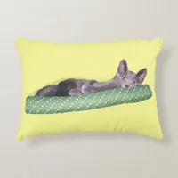 Pillow - Gray Kitten