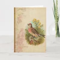 Rose Linnet Card