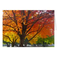Autumn Leaves of Yellow and Orange Photo Cards