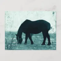 Winter Percheron Postcard