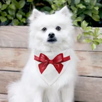 Red bow tie pet bandana collar