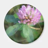 Clover Magnet