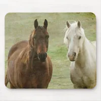Equine Buddies Mouse Pad
