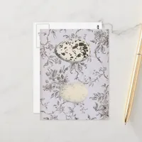 Vintage Bird Eggs on Vintage Botanicals Postcard