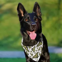 Southwest Yellow Swallowtail Butterflies Pattern Pet Bandana Collar