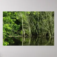 Mississippi River Tree Shoreline Reflection Poster