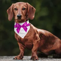 Pink bow tie pet bandana collar