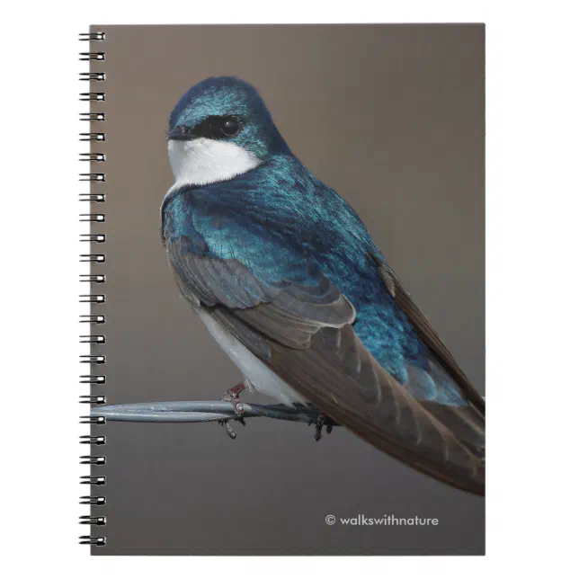 Handsome Tree Swallow: Bird on a Wire Notebook