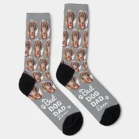 Custom DOG DAD Personalized Paw Print Pet Photo  Socks