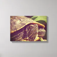 Turtle Canvas Print