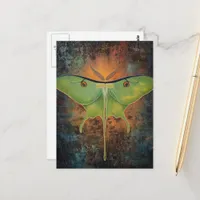 Beautiful Luna Moth Painting Postcard