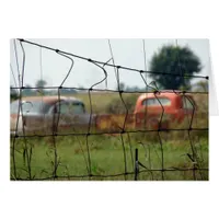 Cars and Trucks Rust Away in a Rural Field