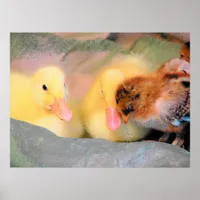 Cartoon Ducks and Chick Poster