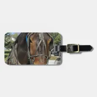 At the Library, Amish Horse and Buggy Luggage Tag