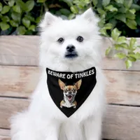 Beware of (Add Dog Name) Personalized Pet Bandana Collar