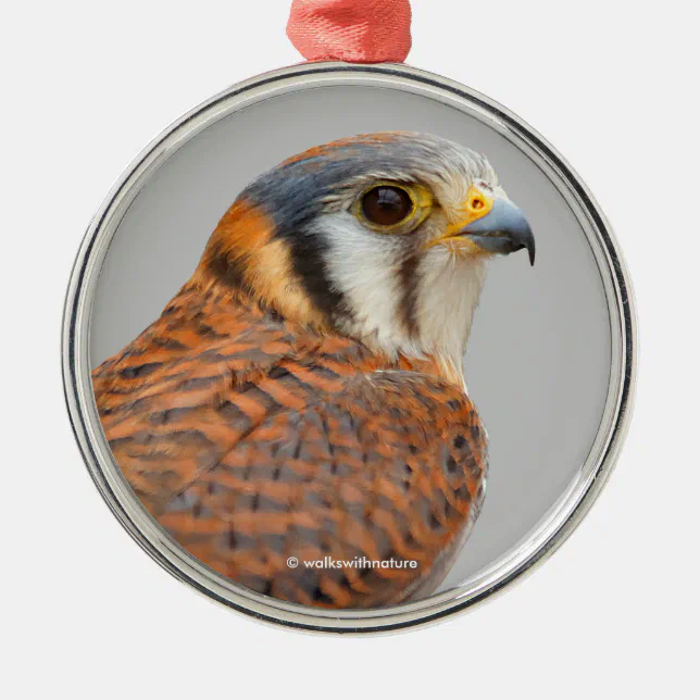 Stunning American Kestrel Sparrowhawk Falcon Metal Ornament