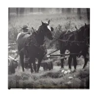 Making Hay With Horses Black and White Tile
