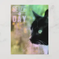 Seize the Day Cat Postcard
