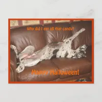 Great Dane Ate Too Much Halloween Candy Postcard