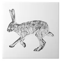 Southwestern Jackrabbit  Pen and Ink Art Ceramic Tile