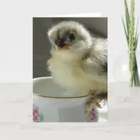 Blue Cochin Chick on Teacup Card