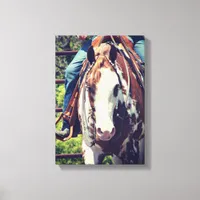 Western Paint Horse Canvas Print
