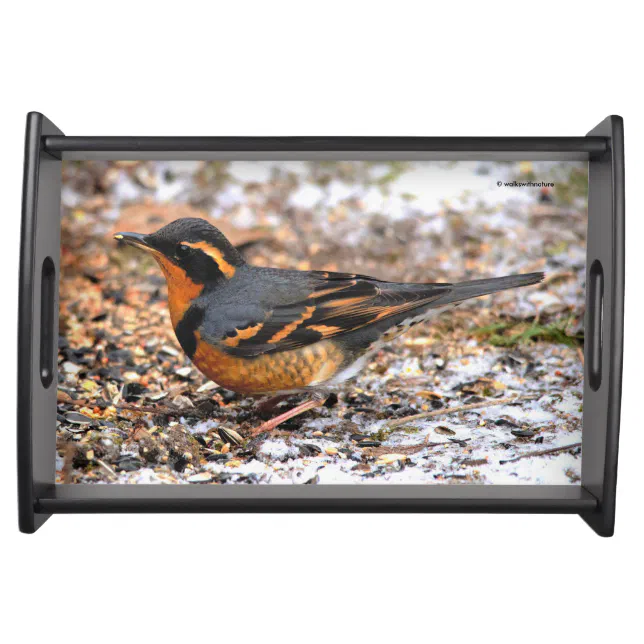 Stunning Varied Thrush Songbird on Snowy Ground Serving Tray