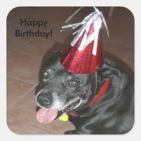 Happy Birthday Black Dog with Red Hat Square Sticker