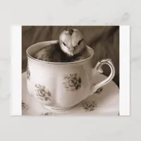 Boots In A Tea Cup Postcard