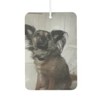 Funny Puppy Dog Pet Photo Personalized Air Freshener