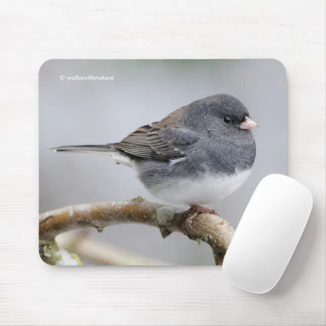 Slate-Colored Dark-Eyed Junco on the Pear Tree Mouse Pad