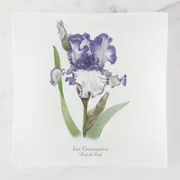 Purple Ruffled Iris Trinket Tray