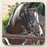 Bay Pinto Amish Buggy Horse Drink Coaster