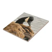 Canada Goose on the Lake Ceramic Tile