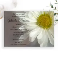 Soft White Daisy on Gray Wedding Invitation