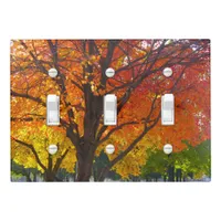 Autumn Leaves of Yellow and Orange Photo Light Switch Cover