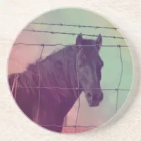 Horse Behind the Fence Drink Coaster