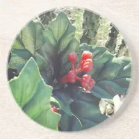 Christmas decorated cactus coaster