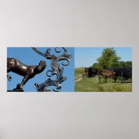 City Horse, Country Horses Poster