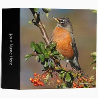 Profile of an American Robin on the Pyracantha 3 Ring Binder