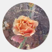 Pretty Peach Prickly Pear Flower Classic Round Sticker