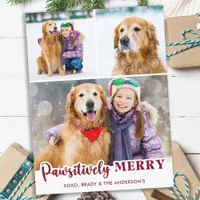Cute Pet Dog Photo Collage Pawsitively Merry      Holiday Postcard