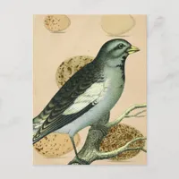 Vintage Bird Digital Art Postcard